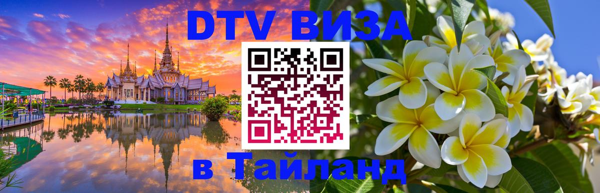 Сколько стоит DTV виза — актуальные цены, оформление даже без документов - 19.11.2025 